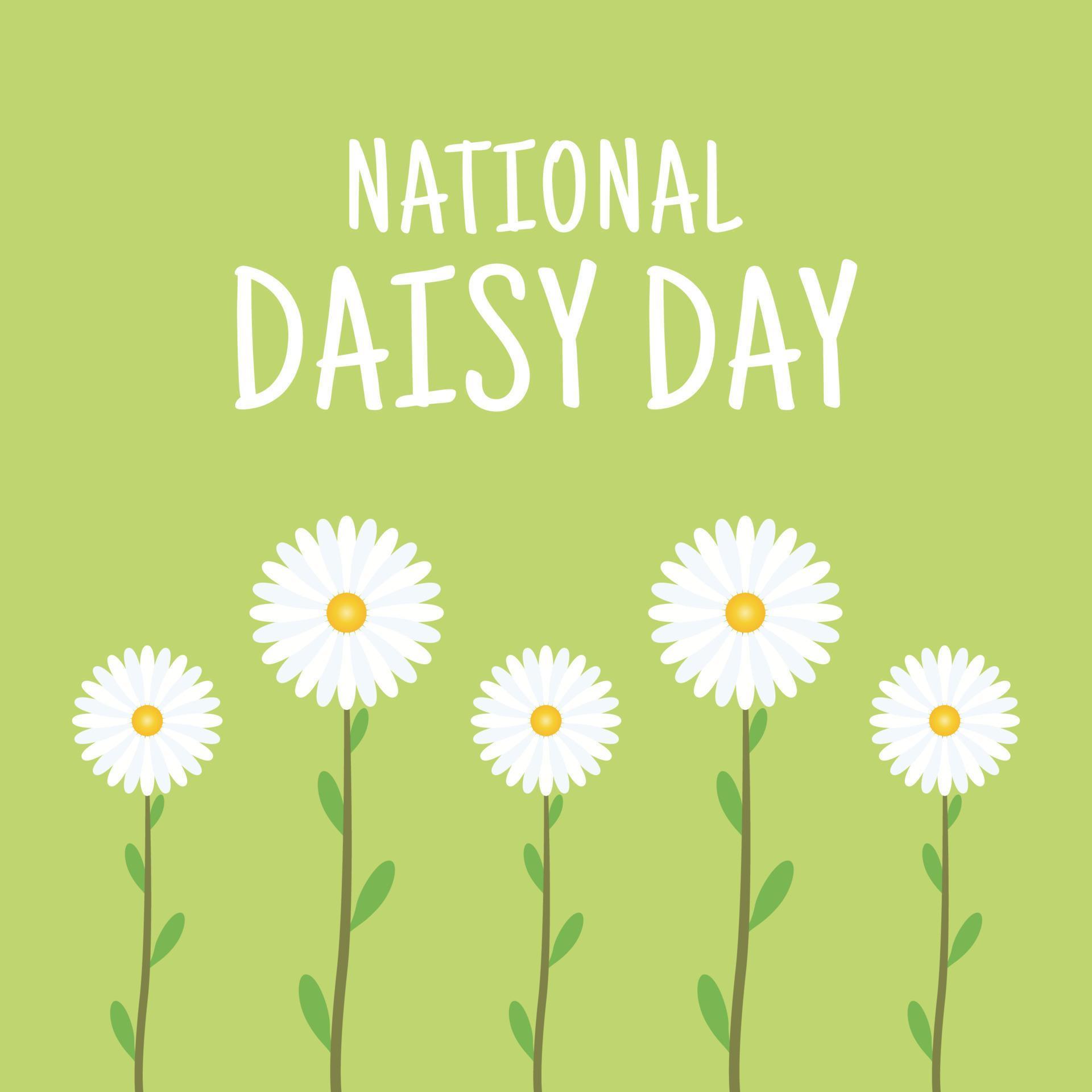 vector graphic of national daisy day good for national daisy day