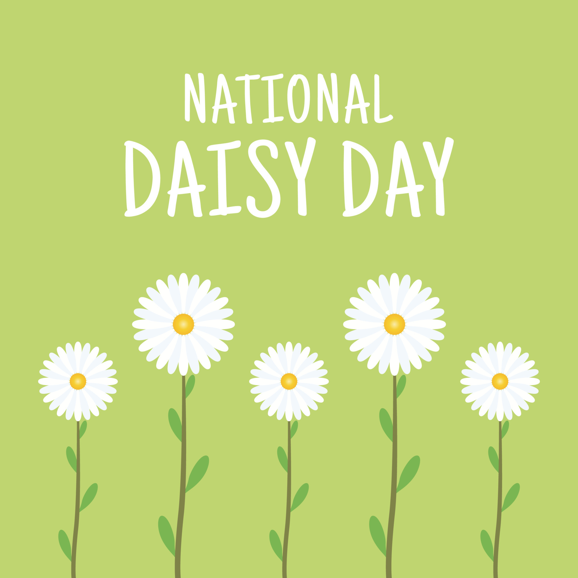 vector graphic of national daisy day good for national daisy day