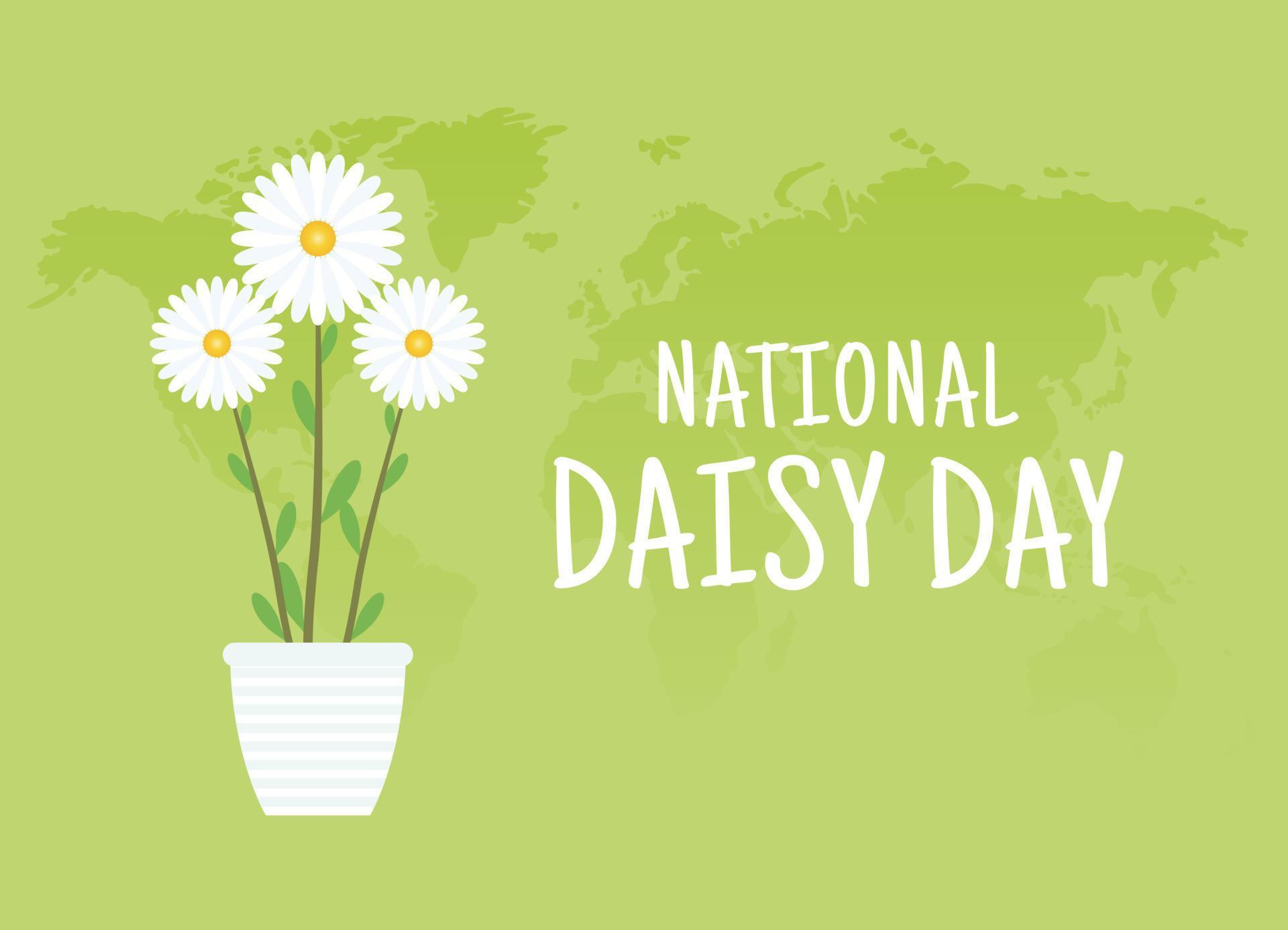 vector graphic of national daisy day good for national daisy day