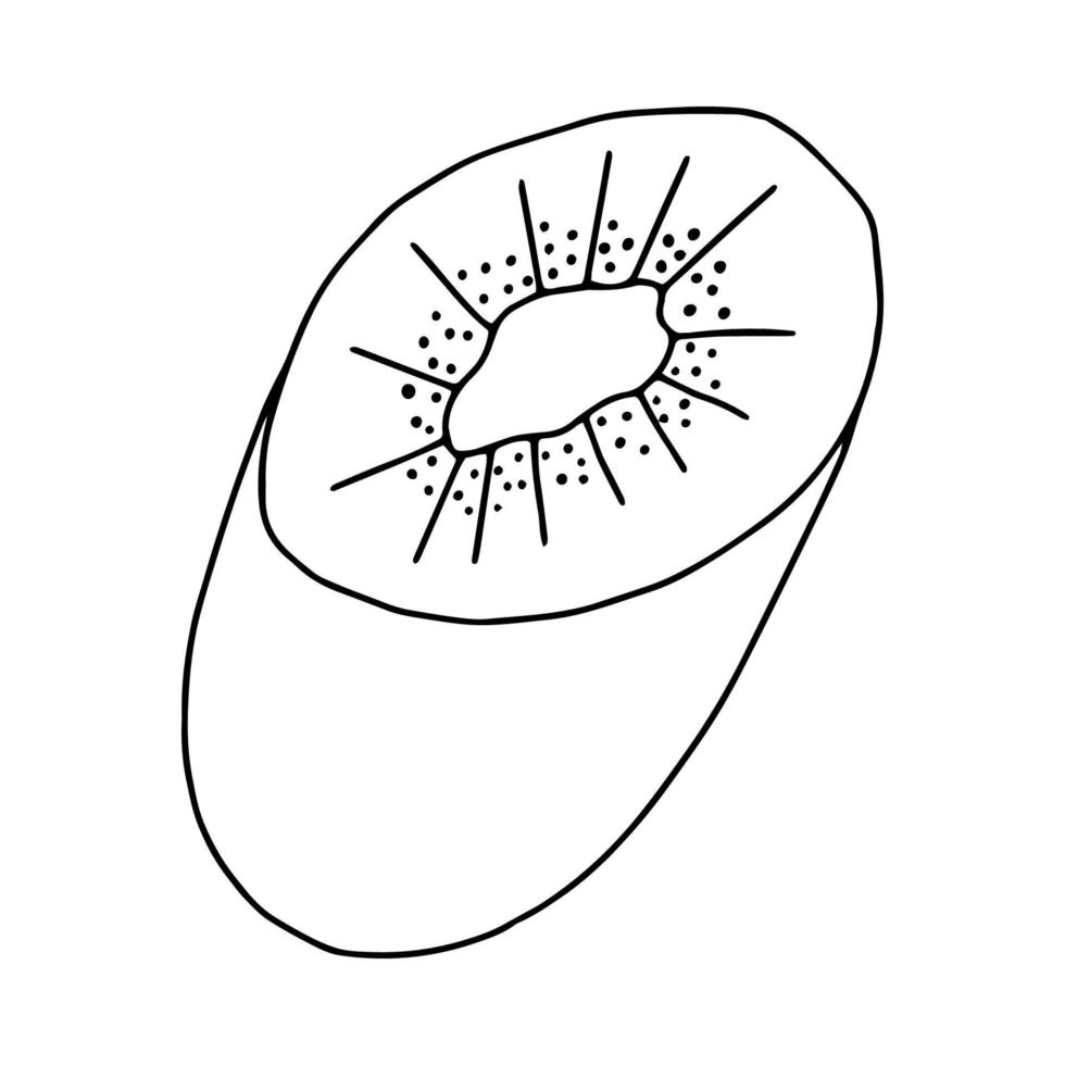 Kiwi in the Doodle section illustration.Contour drawing of a peach isolated on a white background.Tropical fruit.Hand drawing with a line.Vector illustration vector