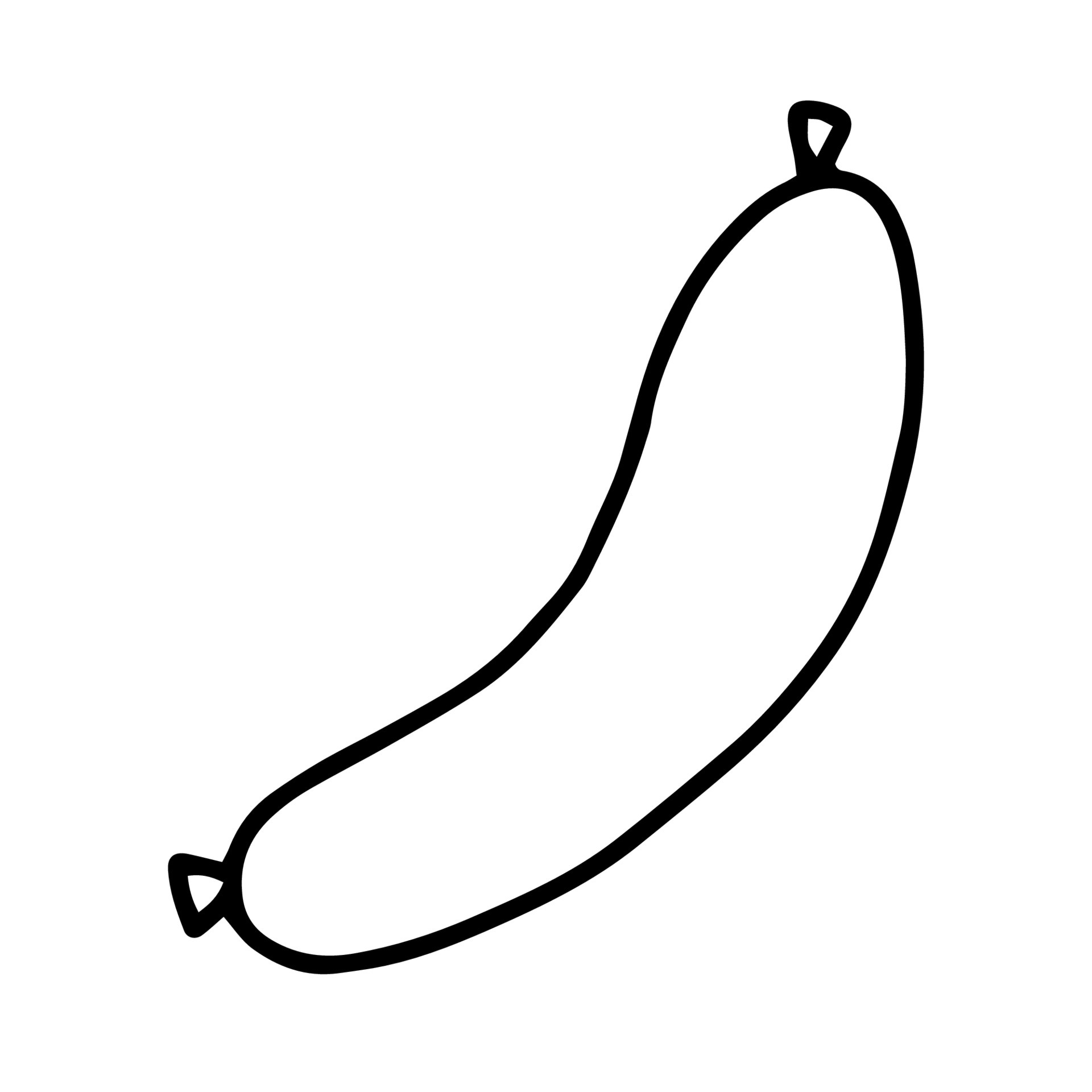 A sausage drawn in the Doodle style.Outline drawing by hand.Black and