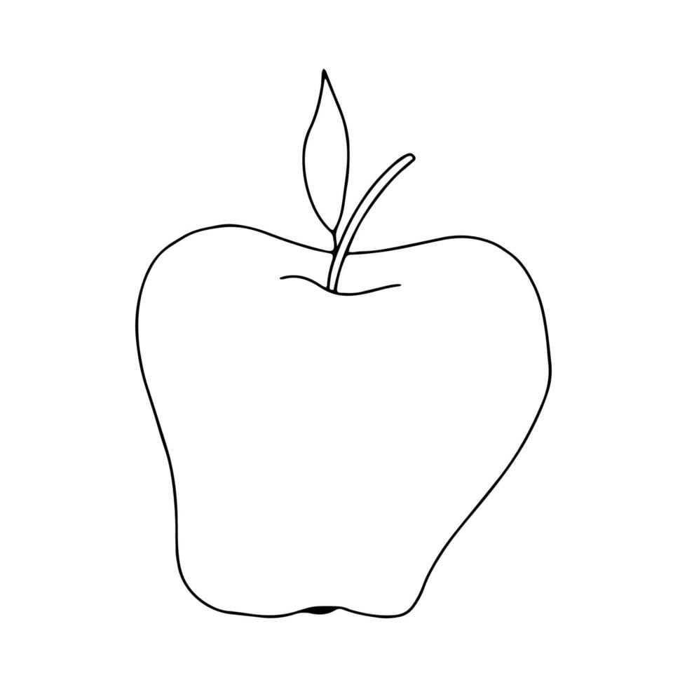 La manzana con la hoja está dibujada en el estilo de dibujo. Dibujo de contorno. Ilustración en blanco y negro de una manzana. Fruta aislada sobre un fondo blanco.Alimentos para veganos.ilustración vectorial vector