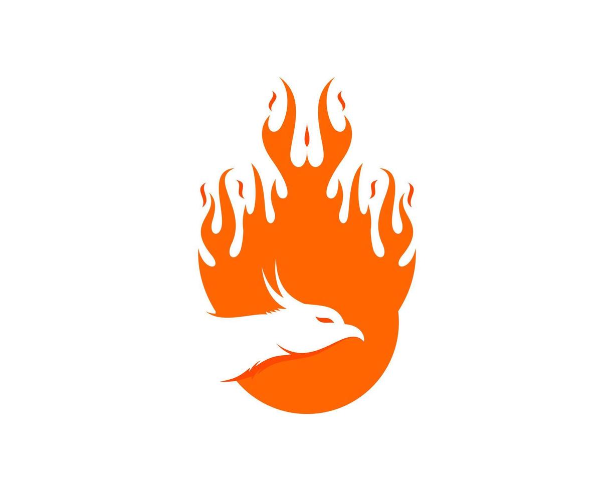 bola de fuego naranja con cabeza fénix vector