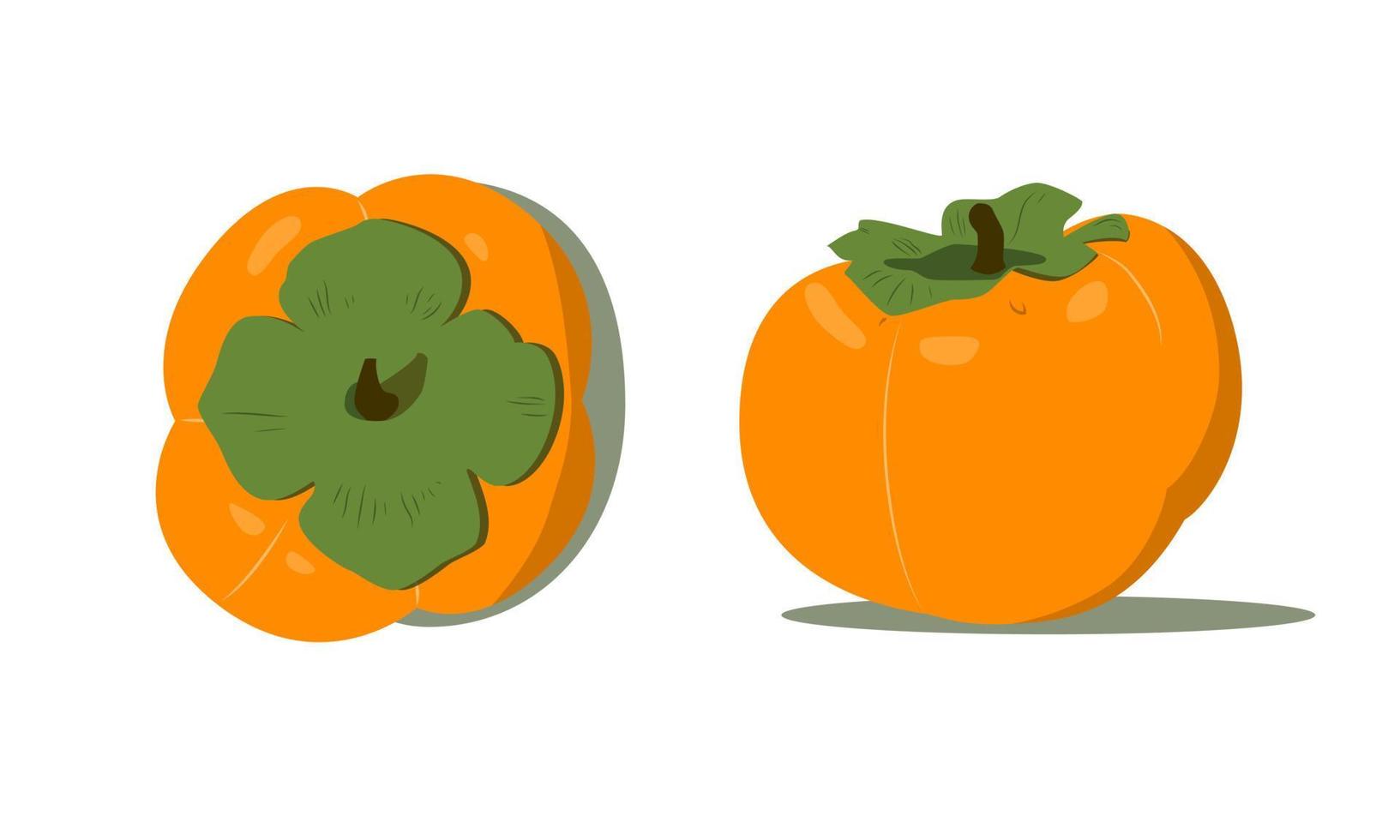 Persimmon flat vector illustration. Top and side view. Seasonal autumn kaki fruit. Use for poster, cards, advertising, logo, sign, label.