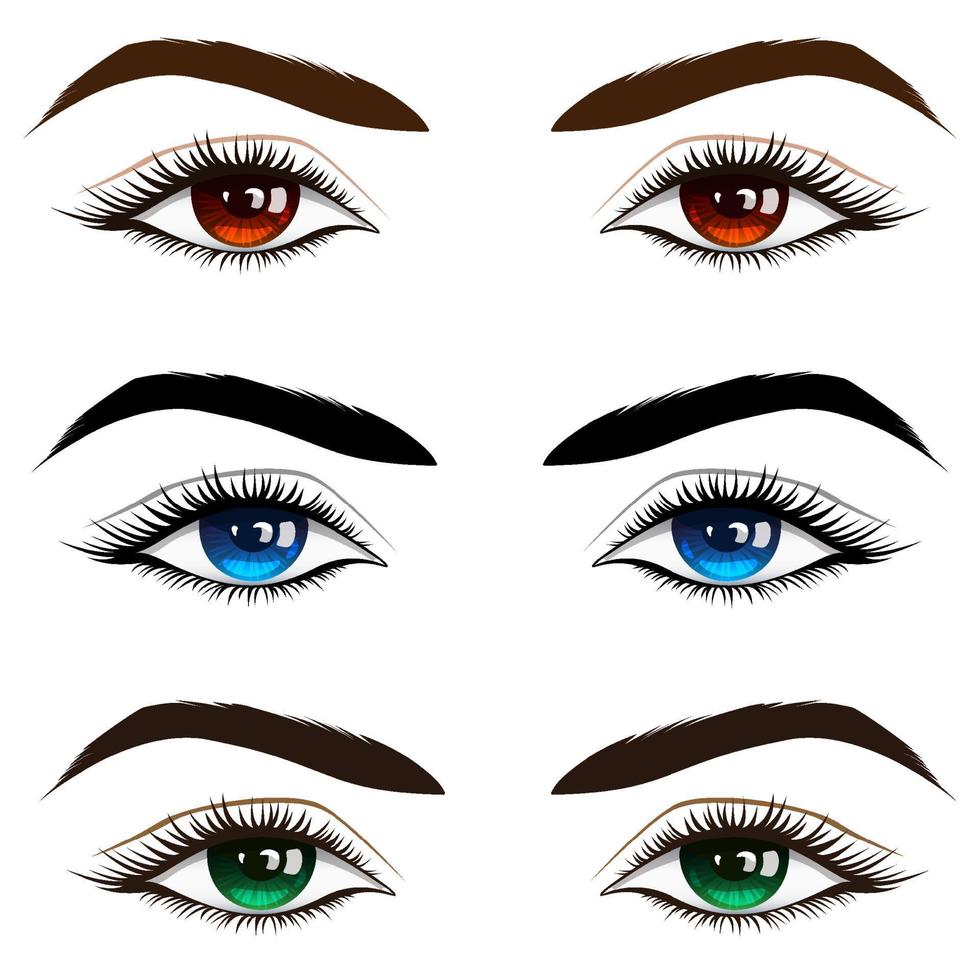 conjunto de hermosos ojos femeninos de color marrón, azul y verde con pestañas negras gruesas. vector