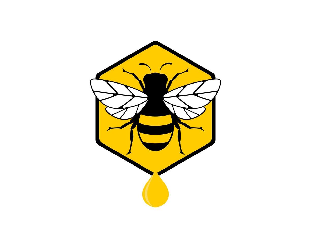 Hexagonal bee hive with bee and honey drop vector
