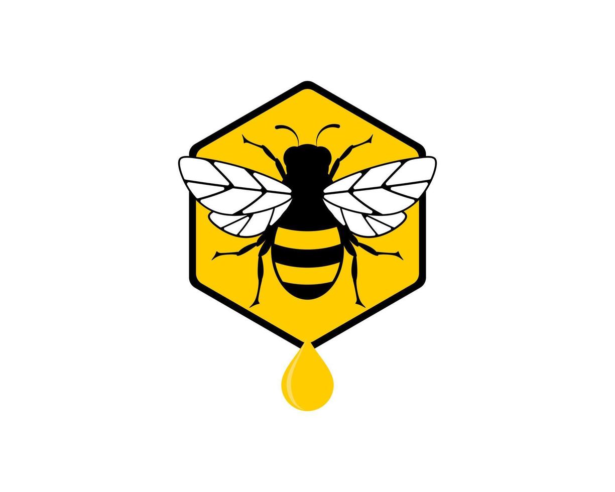 Hexagonal bee hive with bee and honey drop vector