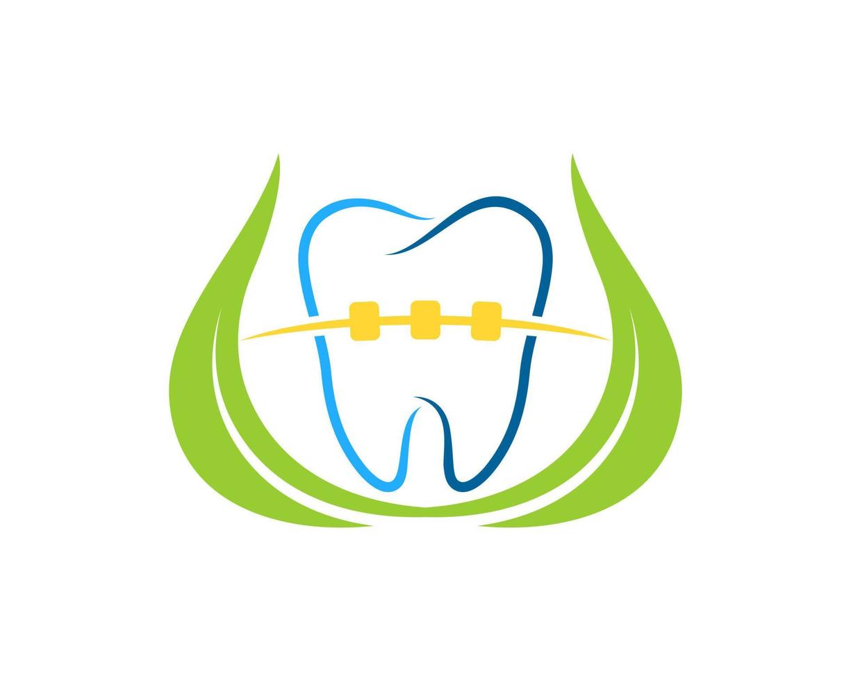 Green nature leaf with healthy tooth with braces inside vector