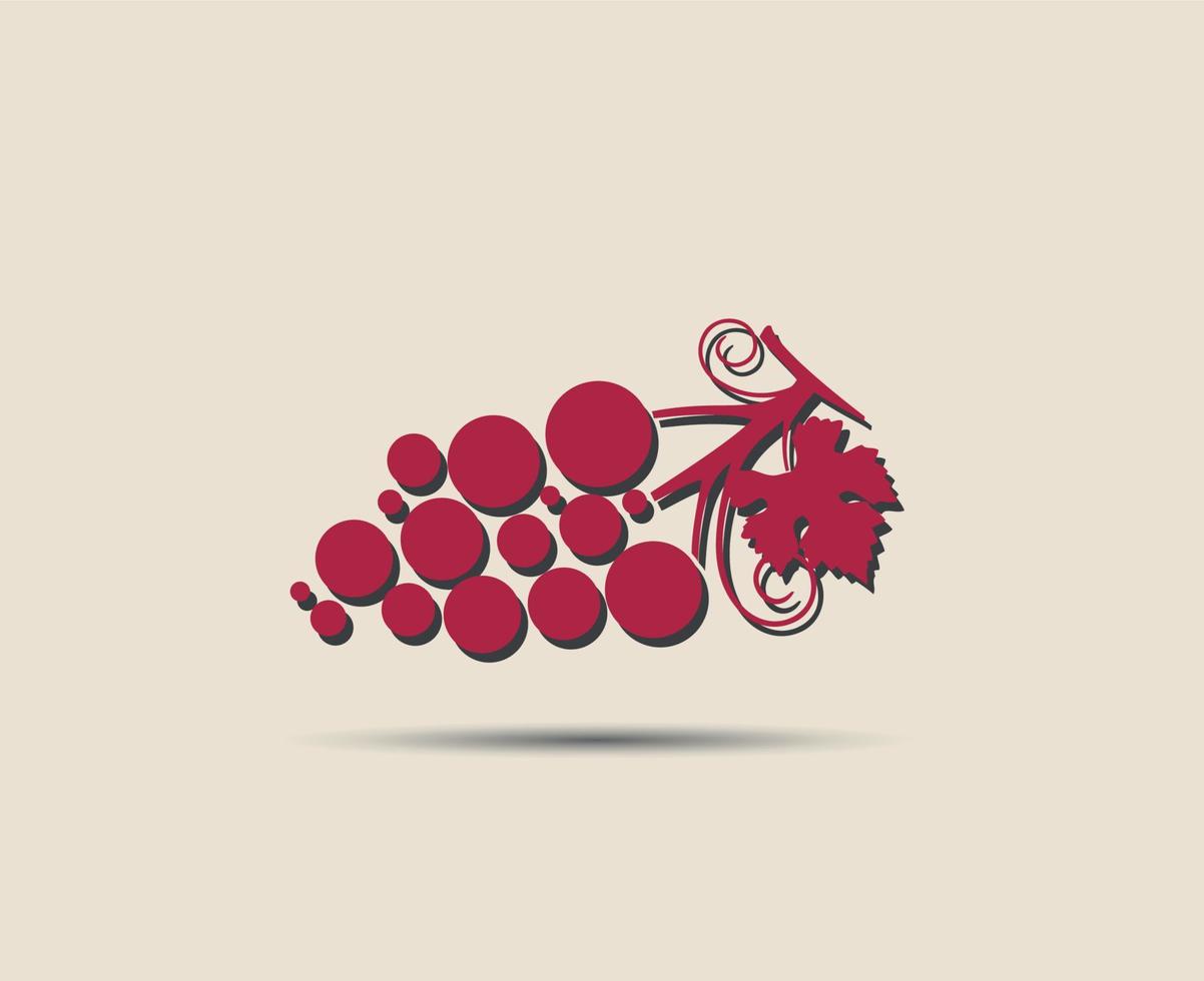 bunch of grapes with leaf vector