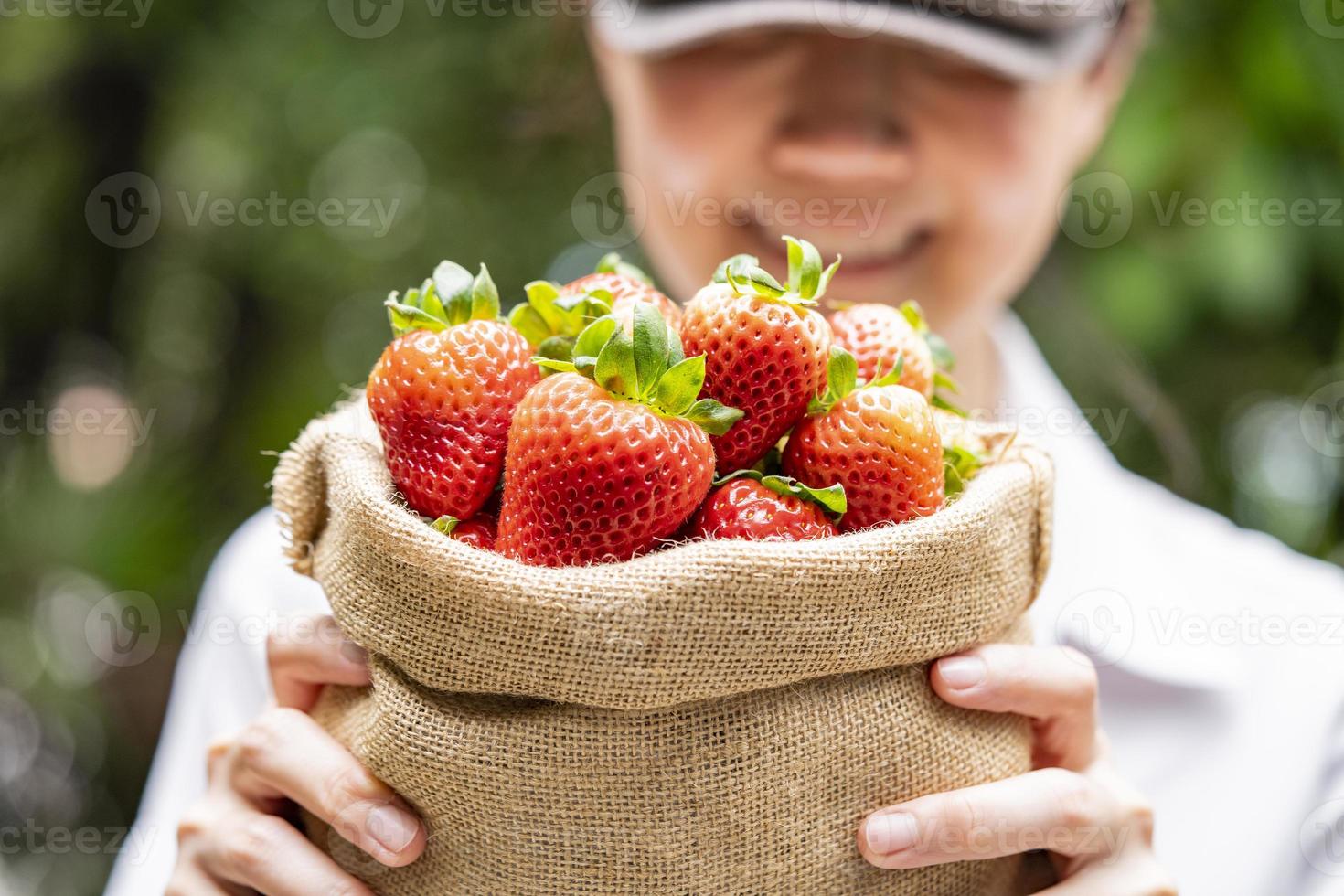 straw berry at the garden photo