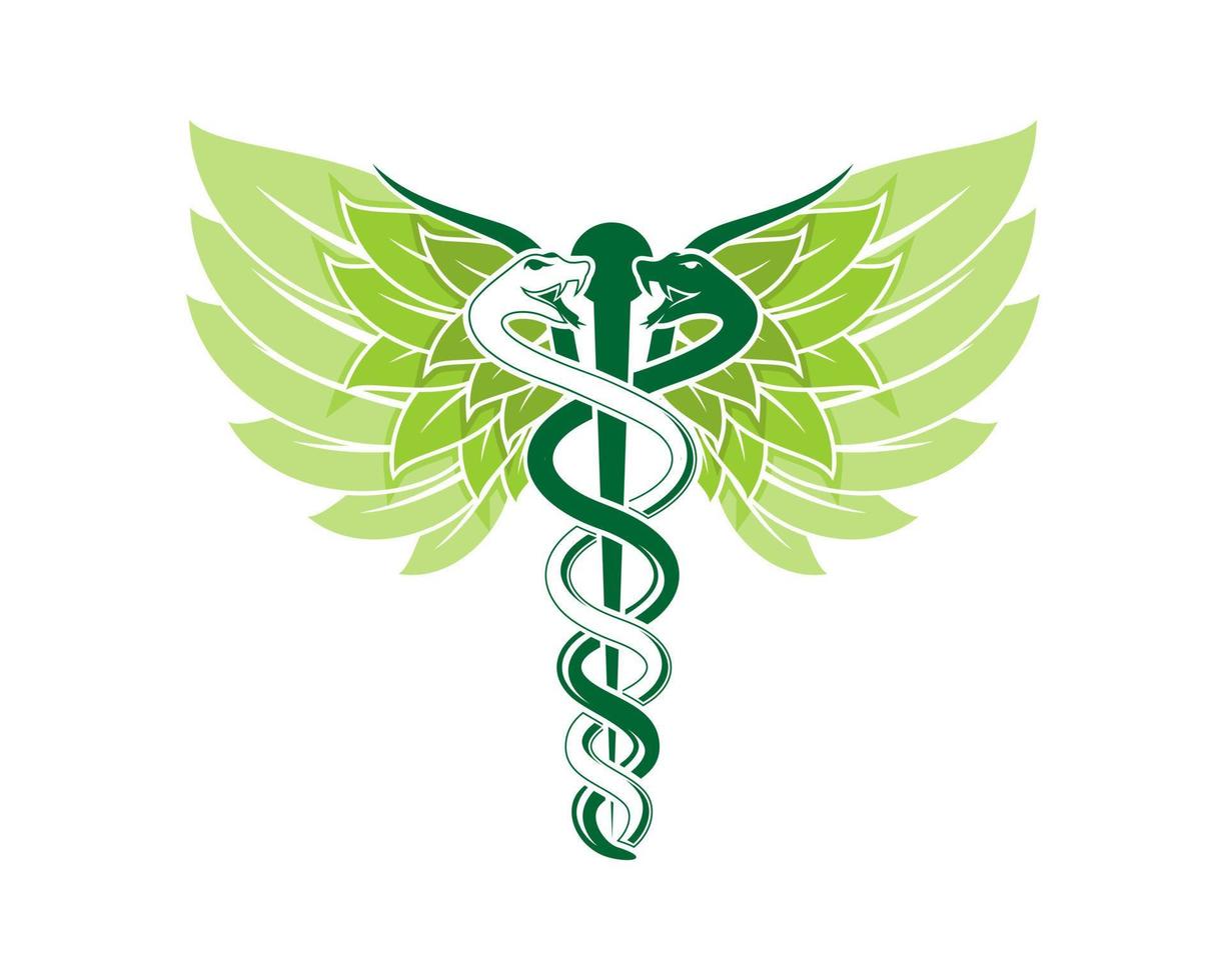 Caduceus with nature leaf wings vector