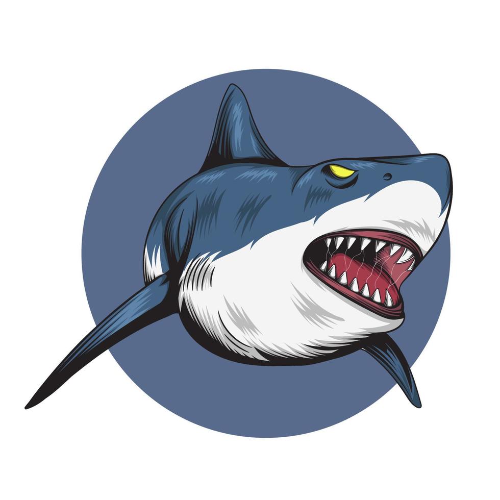 vector illustration of a shark hunting prey