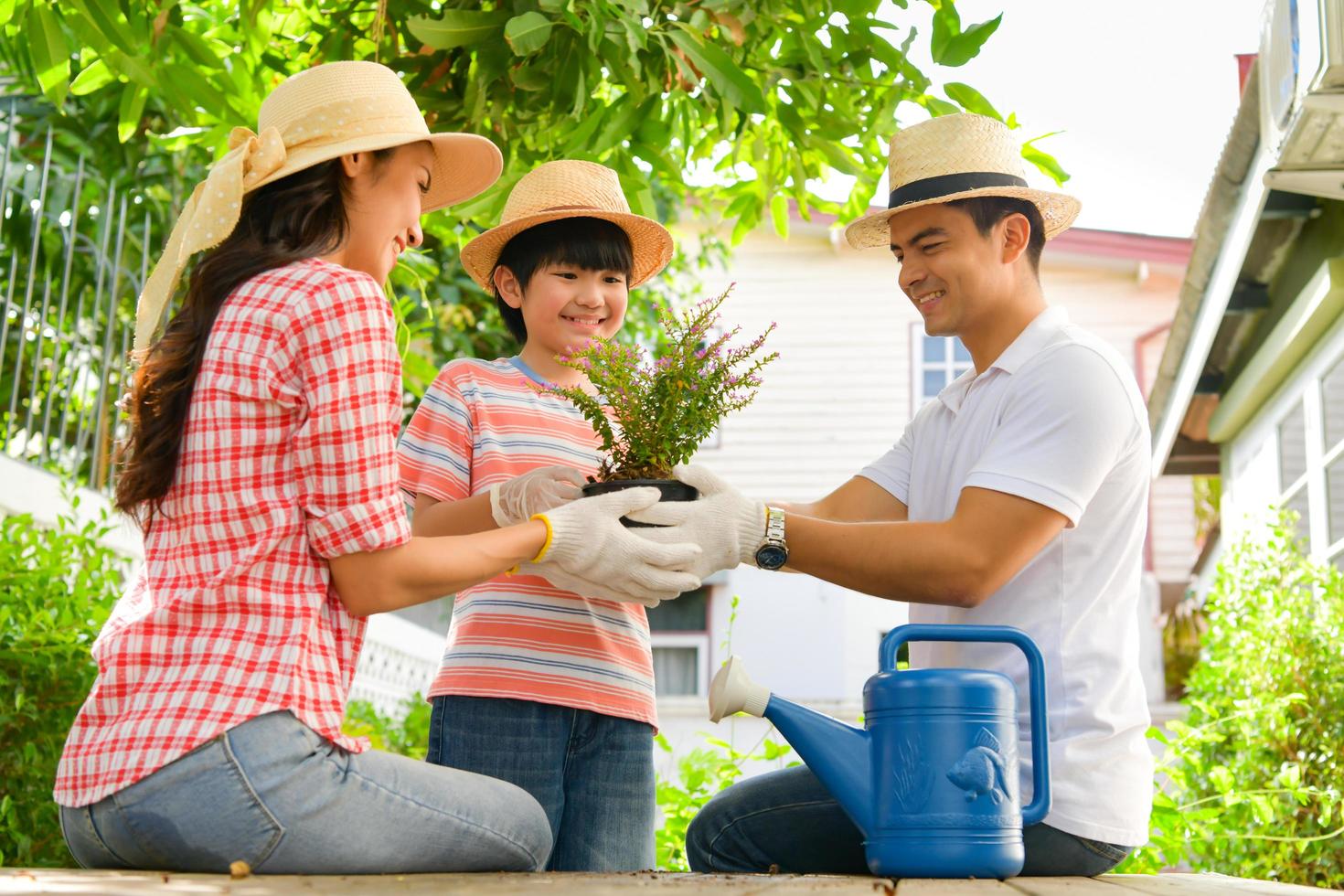 Family holiday morning Join the tree planting activity in the backyard. photo