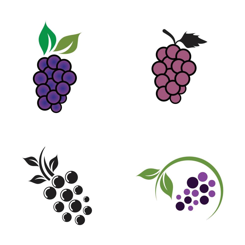 icono de fruta de uva set diseño de logotipo vector