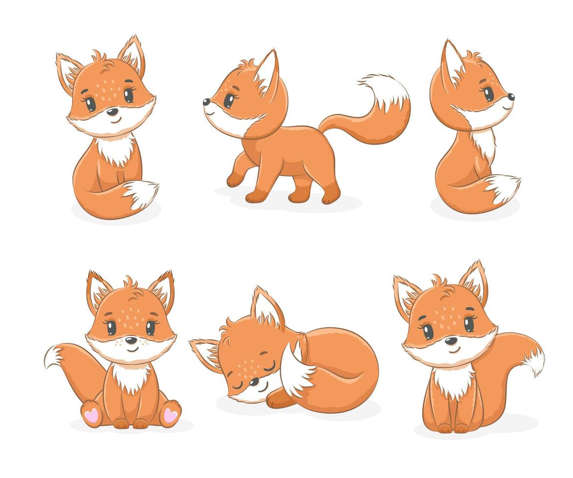 A collection of cute little foxes. Vector illustration of a cartoon.