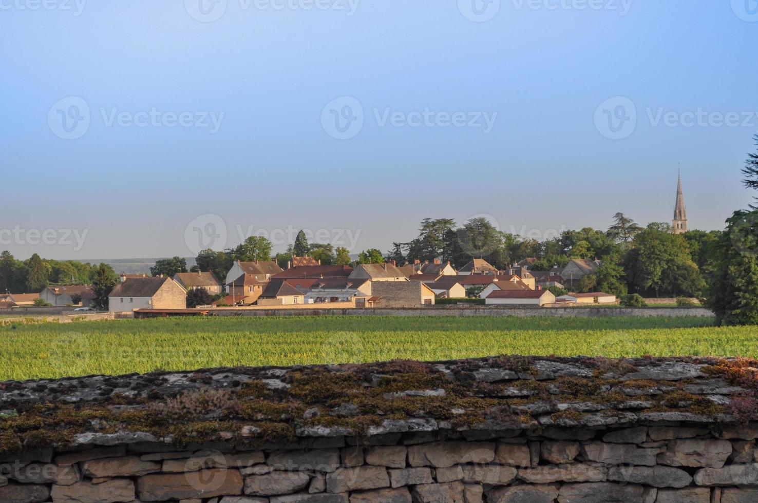 Mersault in France photo