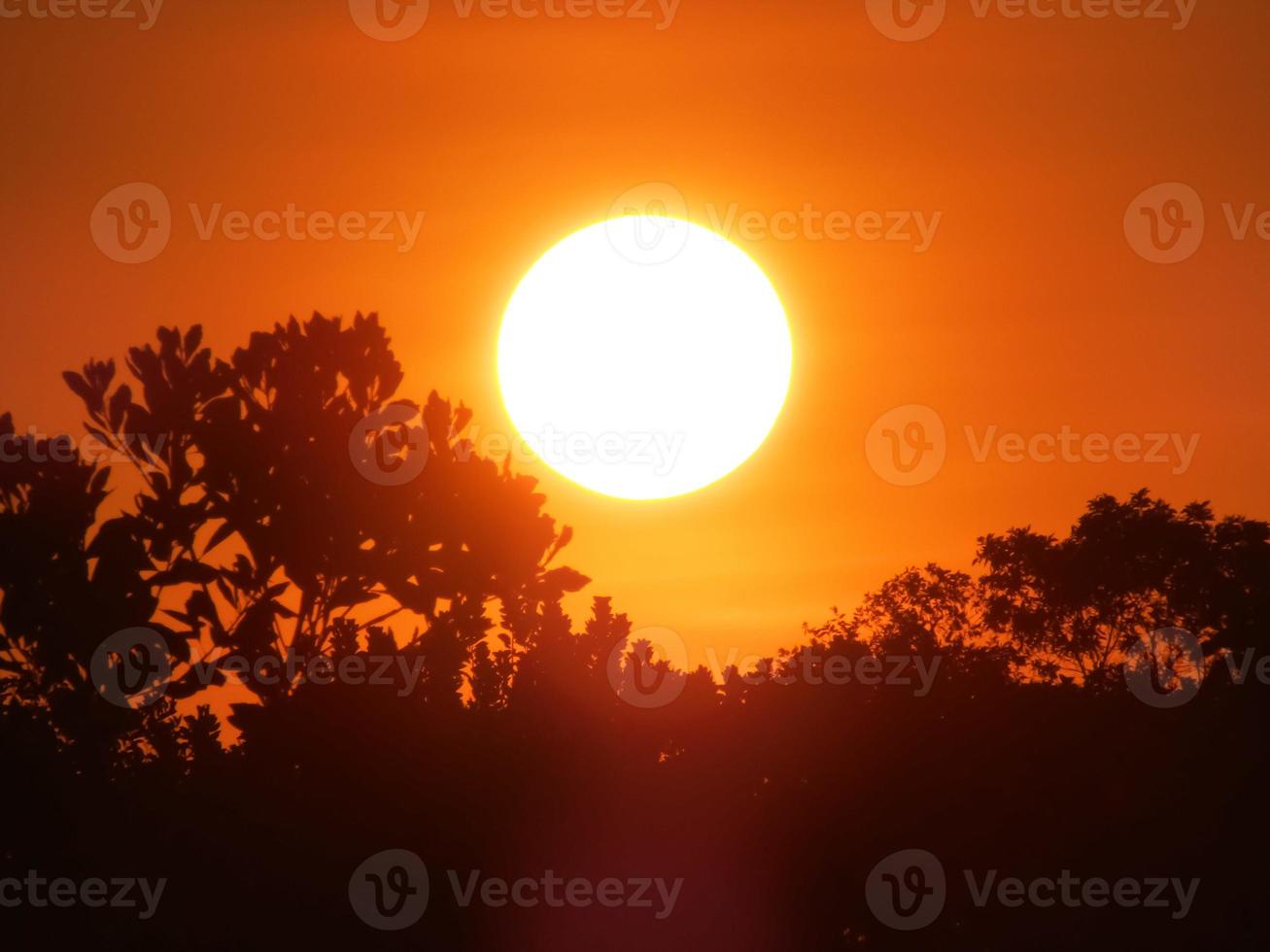 hermosa foto de puesta de sol en el bosque