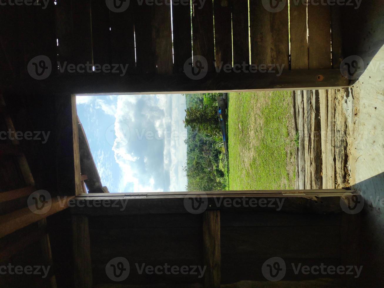 hermosa foto desde el interior del edificio en el jardín verde