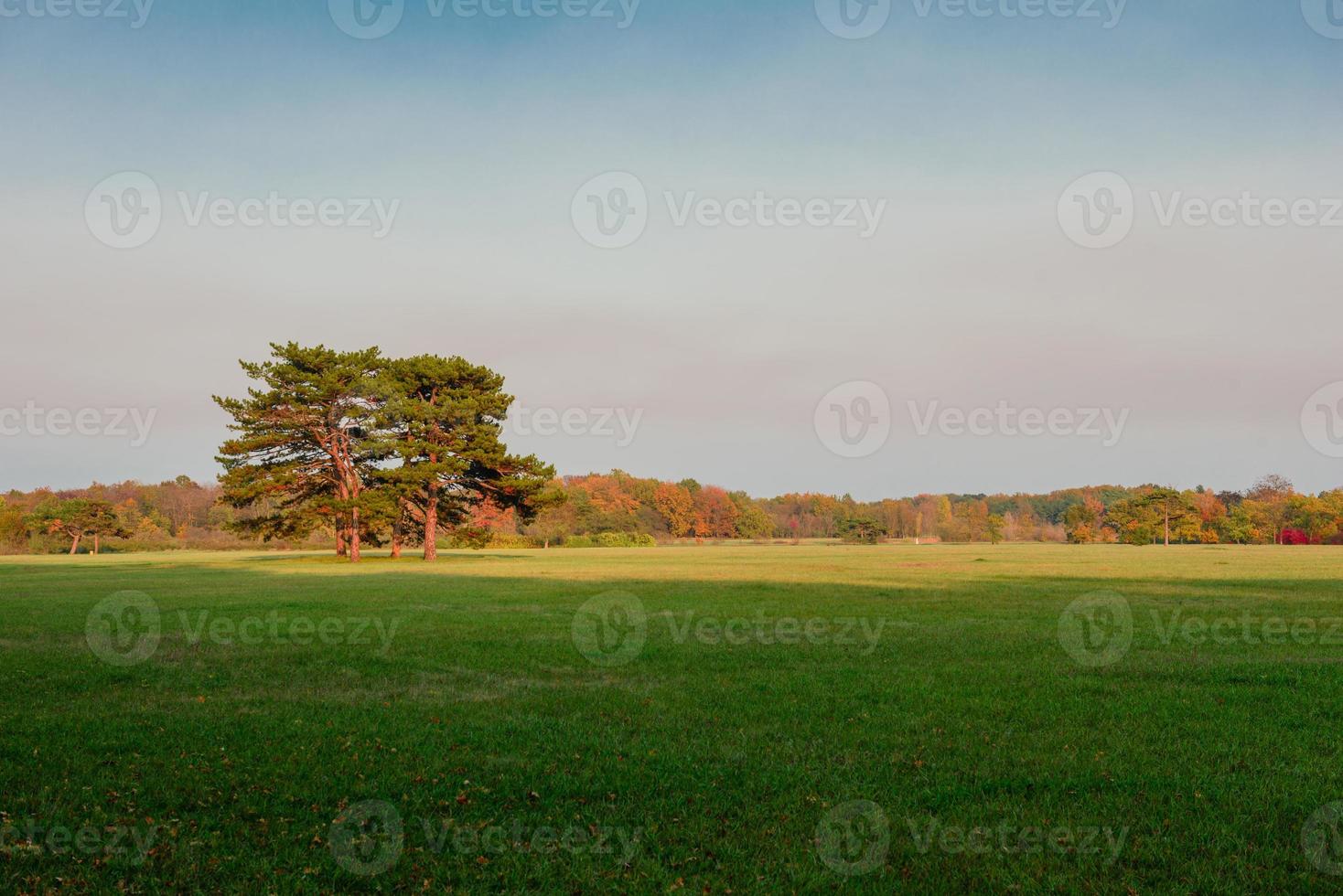 Beautiful autumn landscape with yellow trees and sun photo