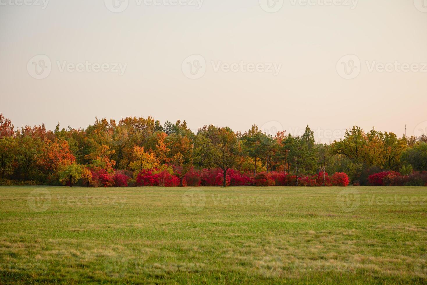 Beautiful autumn landscape with yellow trees and sun photo