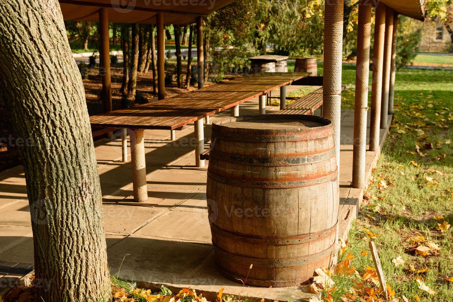 Wine barrels in wine-vaults in order. Wine bottle and barrels photo