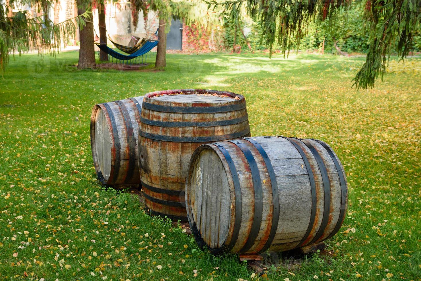 Wine barrels in wine-vaults in order. Wine bottle and barrels photo