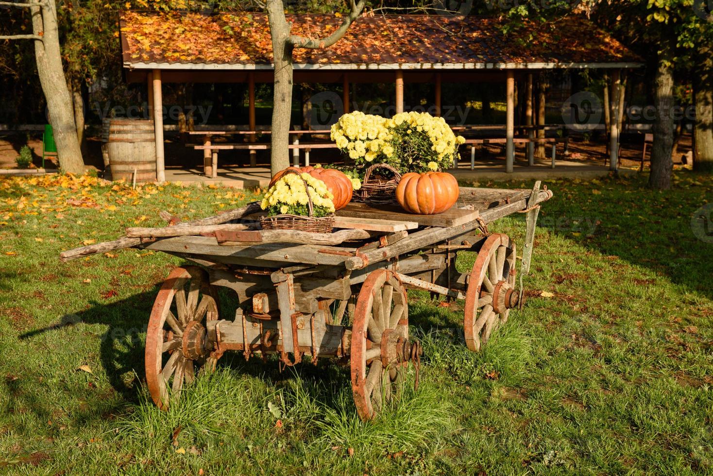 Wooden cart with autumn fruits. Autumn harvest festival - old cart with pumpkins. photo