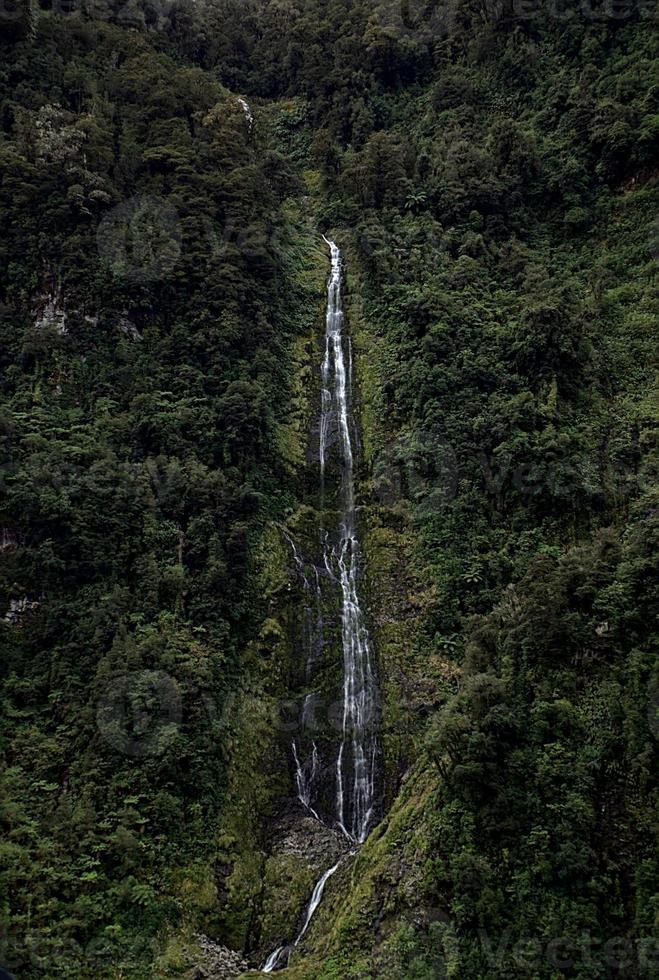 waterfall hidden in the forest photo