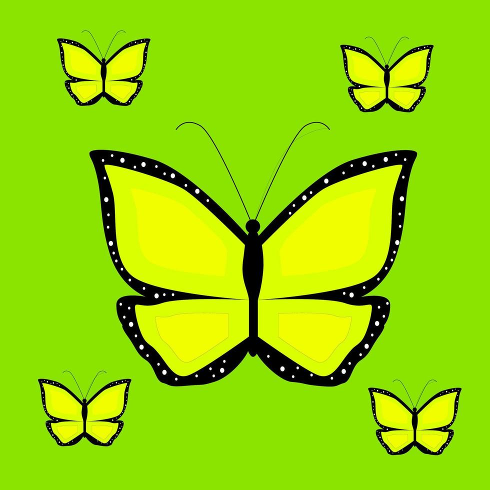 beautiful butterfly vector