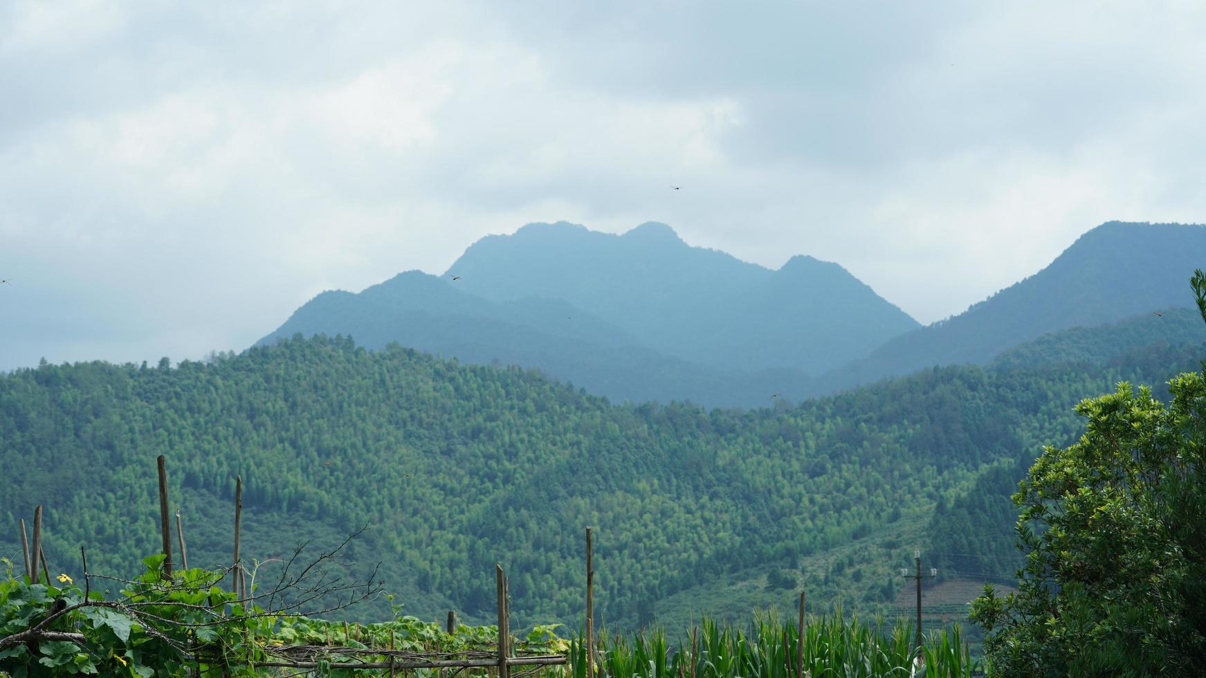los hermosos paisajes de las montañas con el bosque verde y el pequeño pueblo como fondo en el campo de China foto