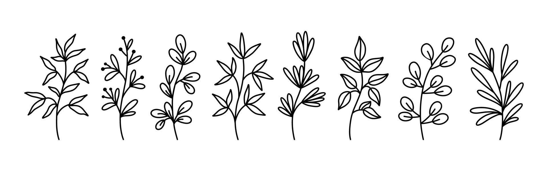 Botanical floral doodles isolated on white background. Set of abstract twigs with leaves of different shapes. Hand-drawn vector illustration. Perfect for cards, invitations, decorations.