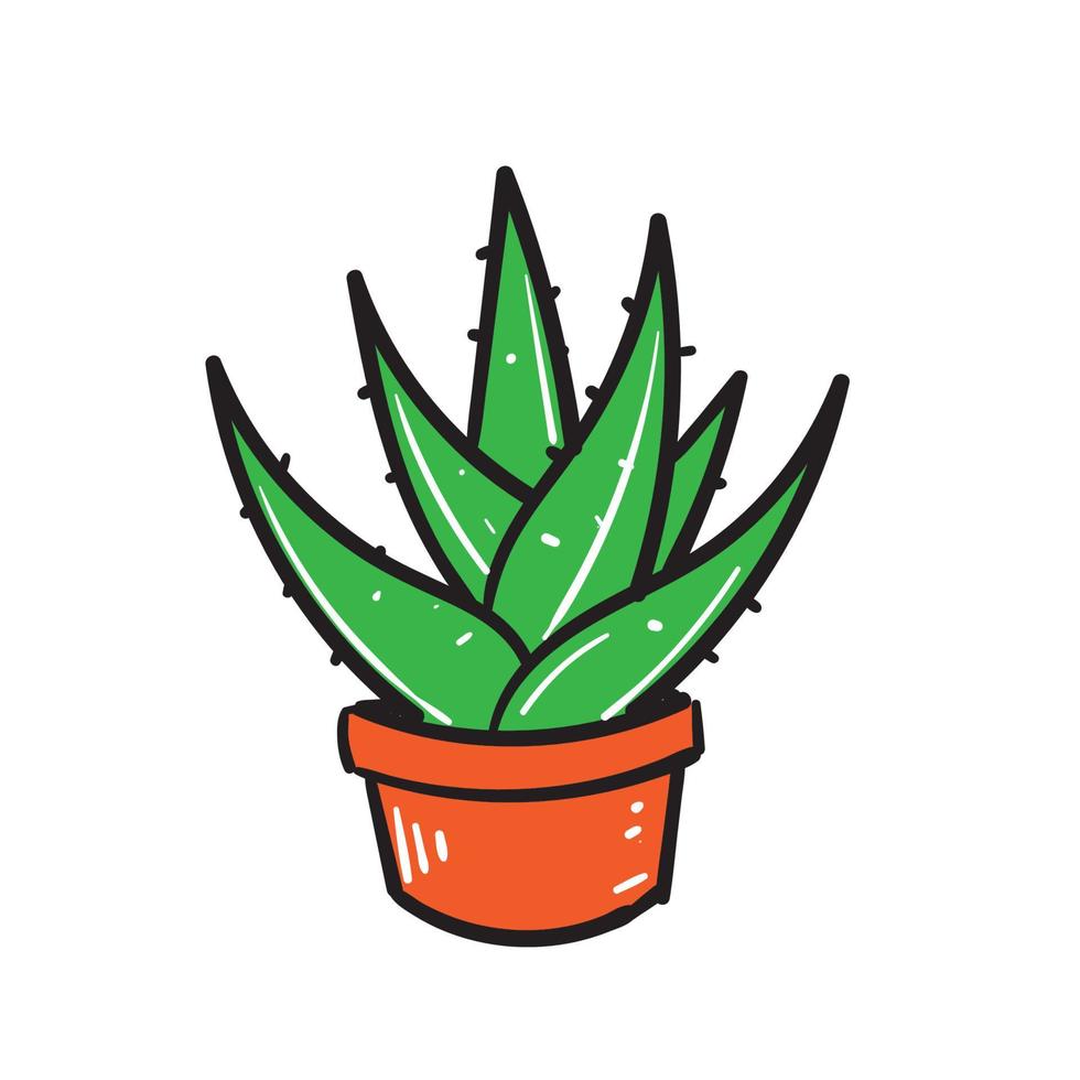 Dibujado a mano doodle aloe vera ilustración icono fondo aislado vector