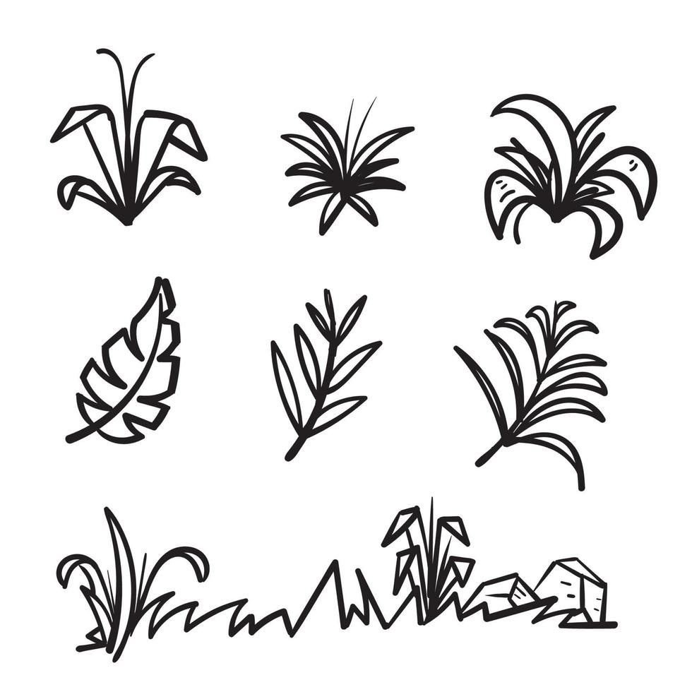 hand drawn doodle leaf and grass illustration icon isolated background vector