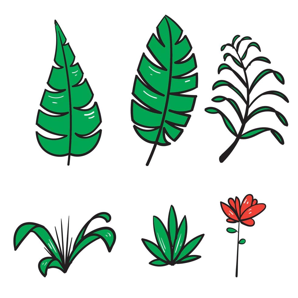 hand drawn doodle leaf and grass illustration icon isolated background vector