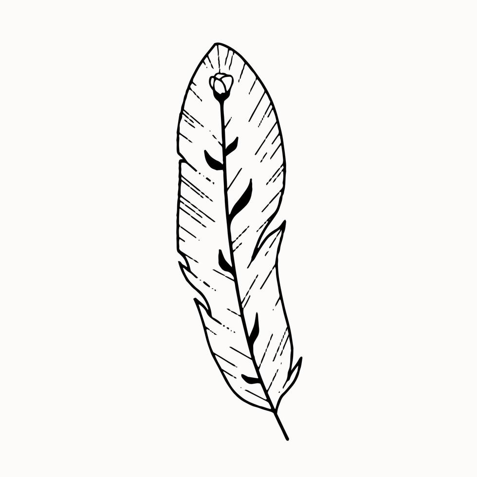 Line art of mystical esoteric feather with flower inside vector