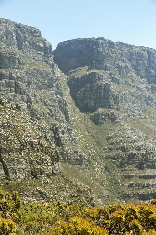 View from Table Mountain National Park Cape Town, South Africa. photo