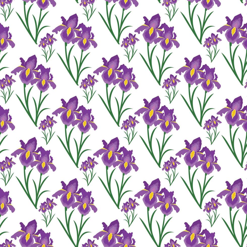 Iris flower with leaf Seamless Pattern Design vector