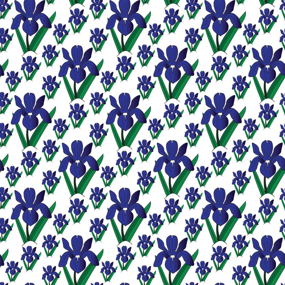 Iris flower with leaf Seamless Pattern Design vector