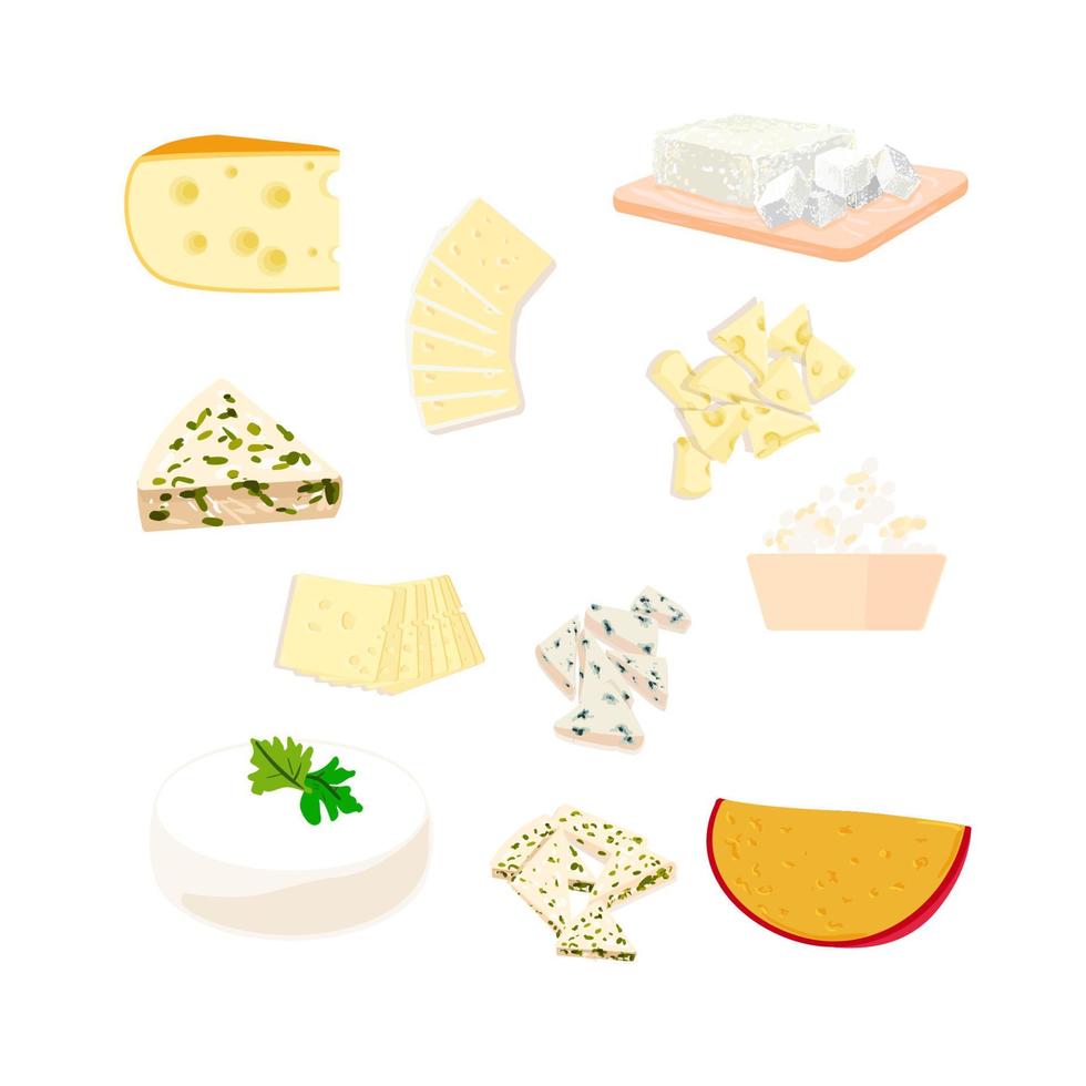 Vector colorful set illustration different types of cheese