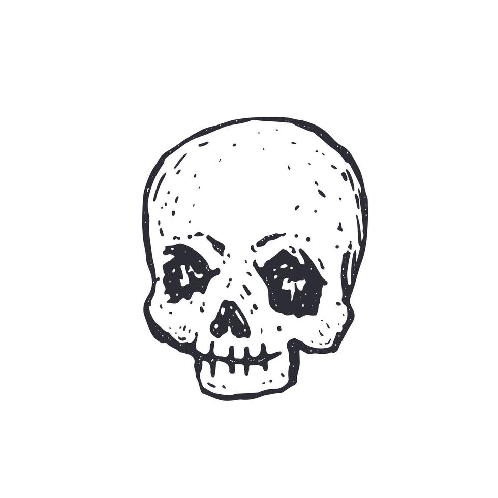 cabeza de calavera dibujada a mano vector