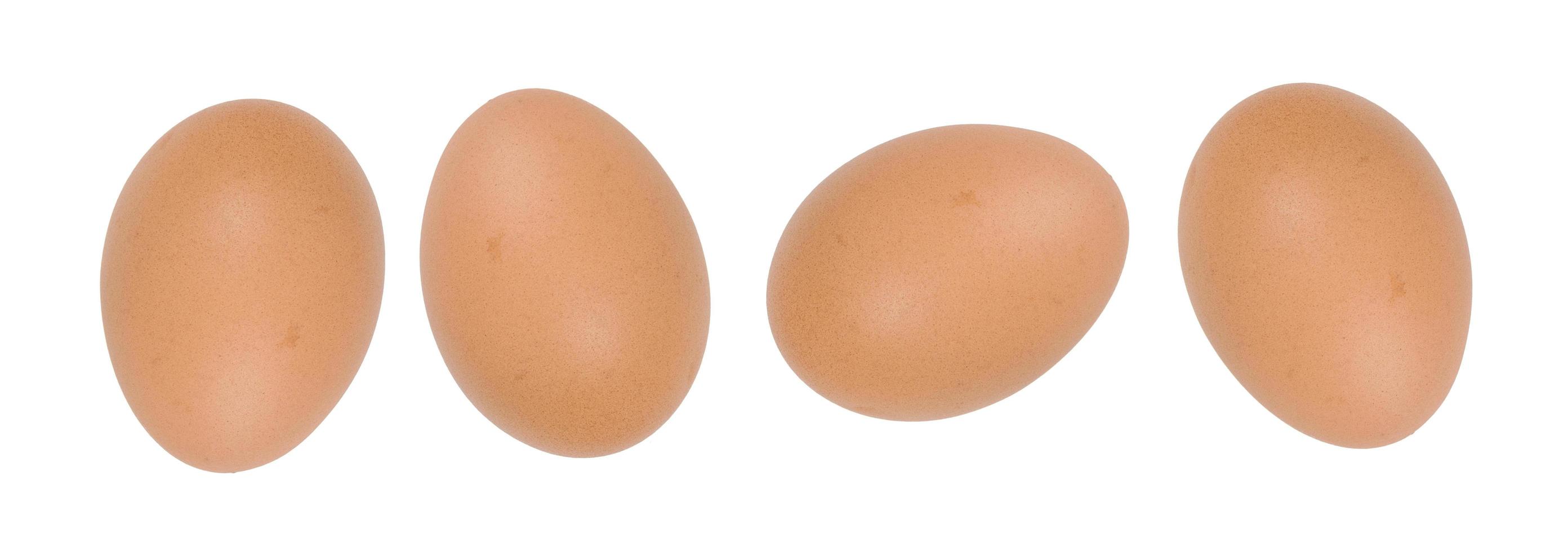 Close-up view of raw chicken eggs in egg box photo