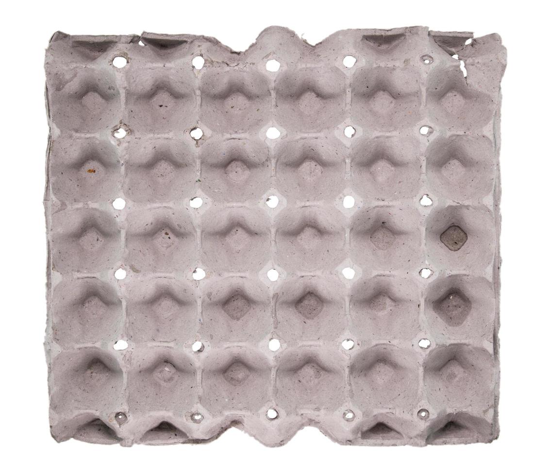 Close-up view of raw chicken eggs in egg box photo