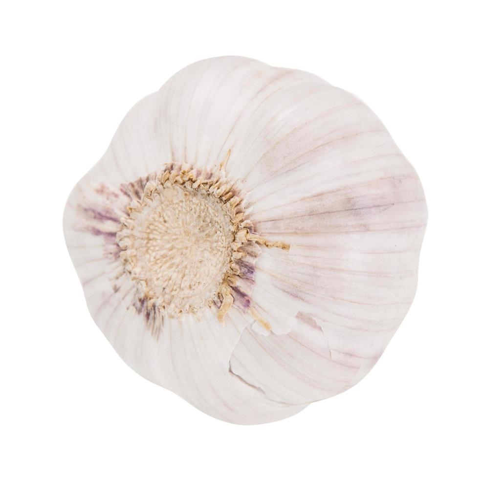 Organic garlic whole and cloves on the white background photo
