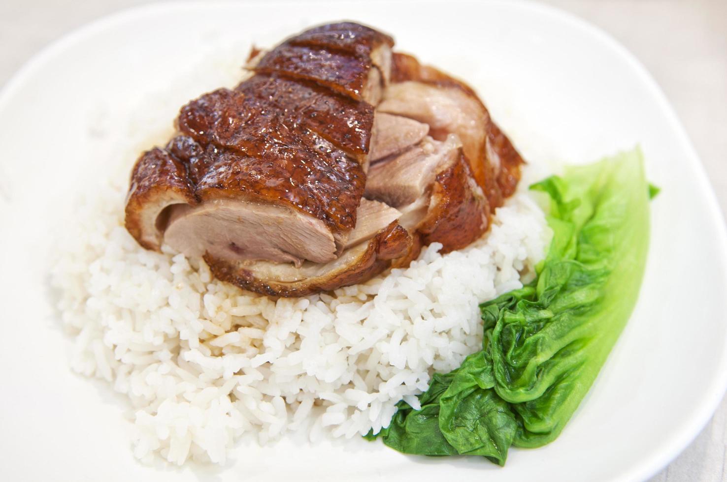 BBQ duck over steamed rice photo