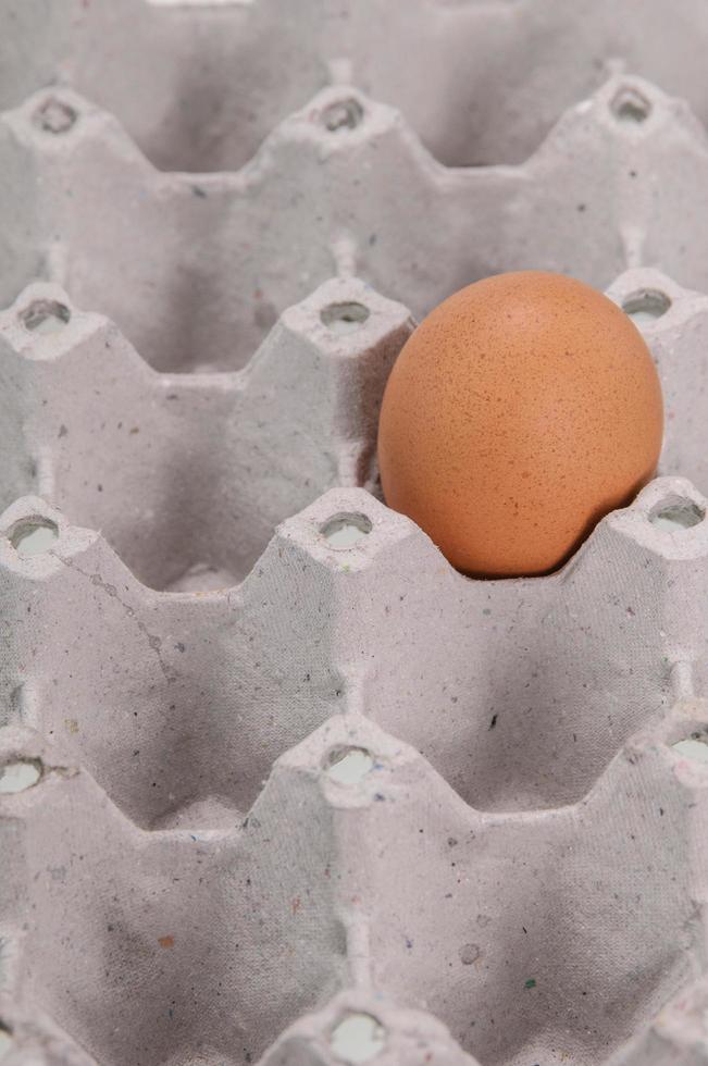 Close-up view of raw chicken eggs in egg box photo