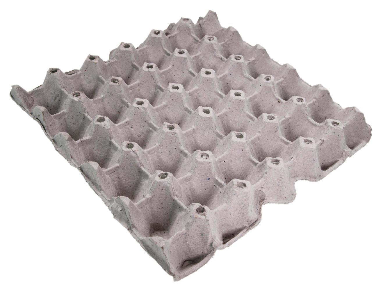 Close-up view of raw chicken eggs in egg box photo