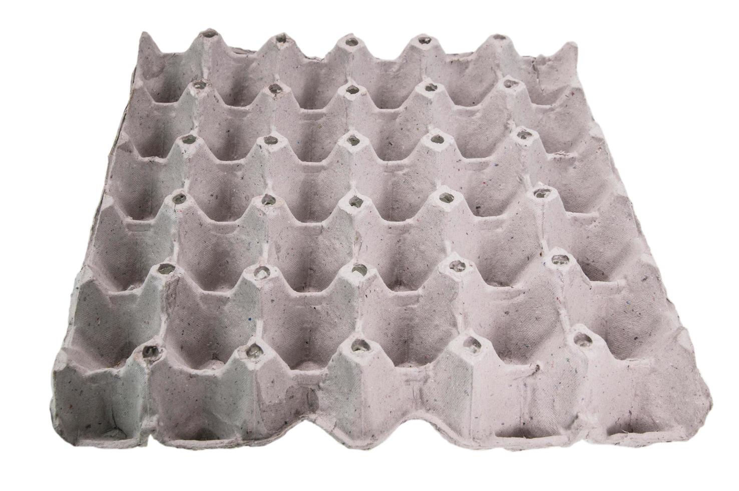 Close-up view of raw chicken eggs in egg box photo