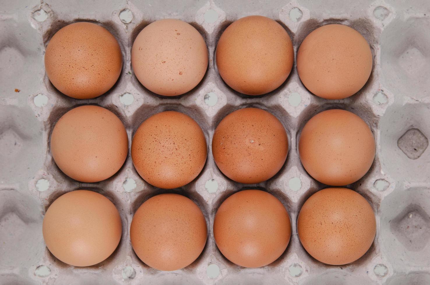 Close-up view of raw chicken eggs in egg box photo