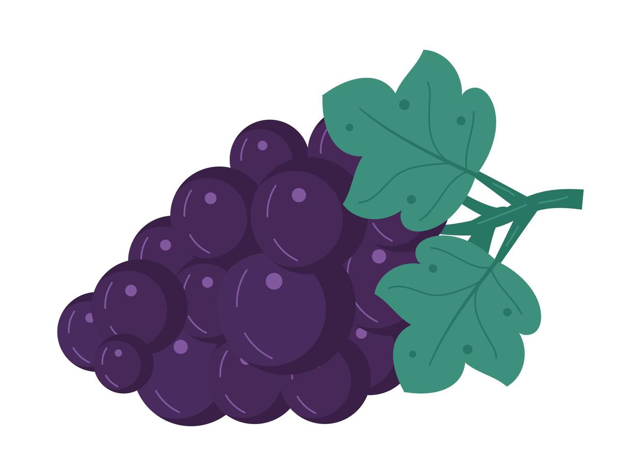 Grape vector isolated on white background. Fruit, fresh, health food icon