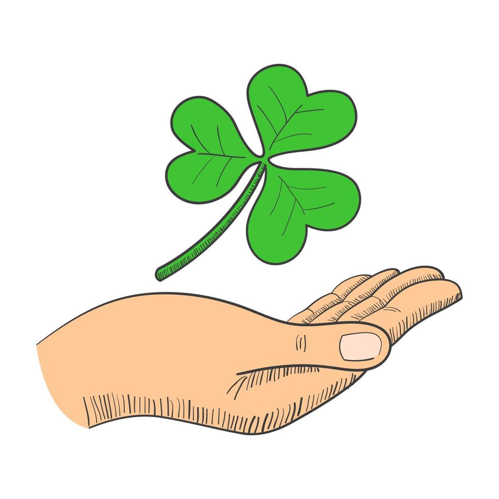 Illustration of a hand with three-leaved shamrock vector